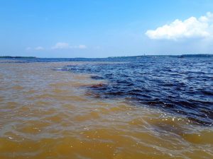 viatge a brasil encontro das aguas 