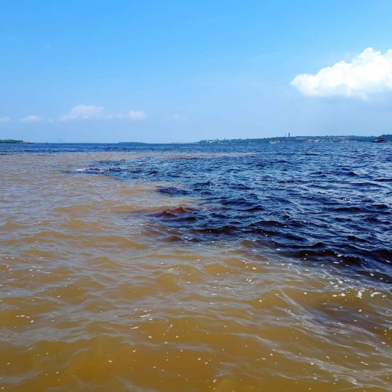 viatge a brasil encontro das aguas